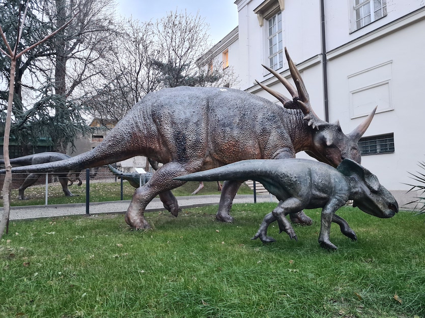 Macar Doğa Tarihi Müzesi, Budapeşte